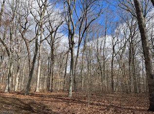 31 Sand Spring Ln, Harding Twp, NJ 07976