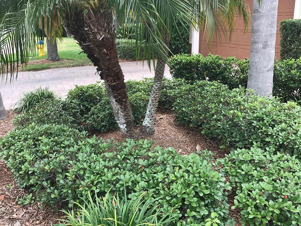 Front area 