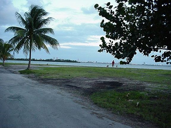 VIEW FROM THE FRONT