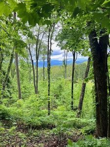 LOT 81 Ball Camp Rd #81/1, Burnsville, NC, 28714