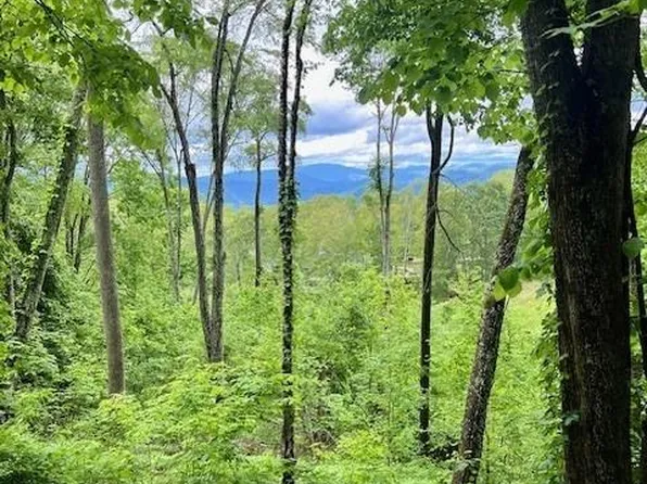 LOT 81 Ball Camp Rd #81/1, Burnsville, NC 28714