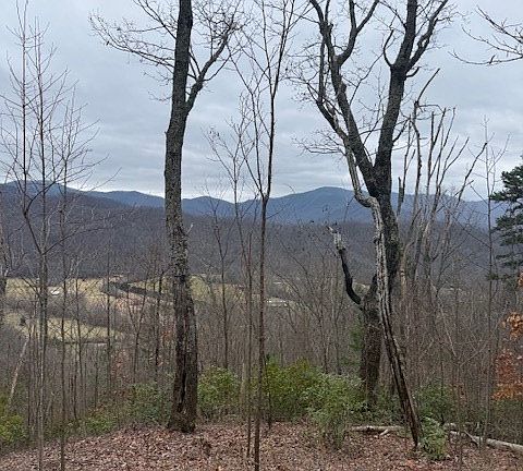 5th image of 0 Ethan Rdg