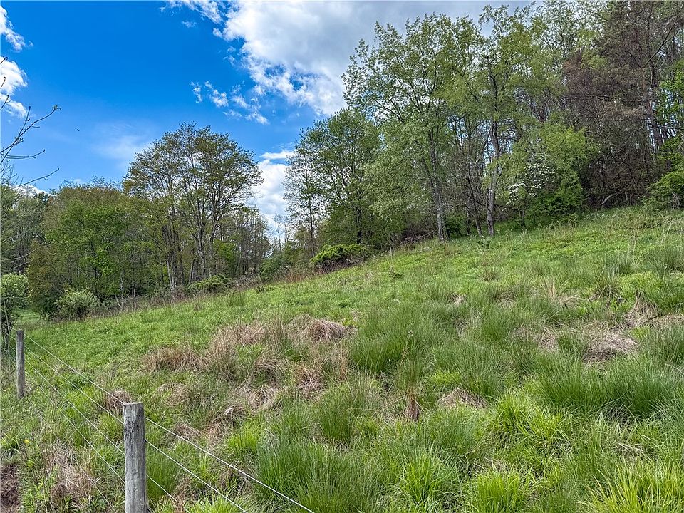40th image of 401 Beefalo Rd