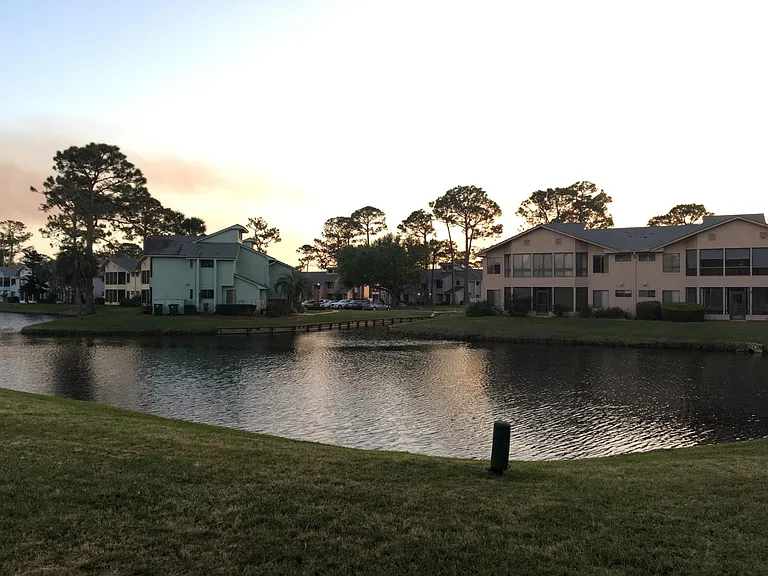 View from the Back