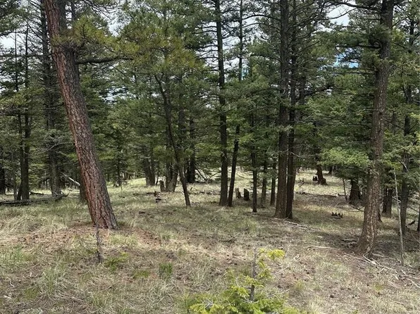 1120/1086 N Mountain Estates Road, Florissant, CO 80816