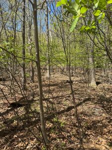 Nipper Rd, East Stroudsburg, PA, 18302