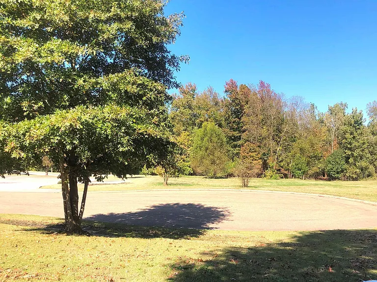 12138 Longleaf Oak Trl — Photo 25