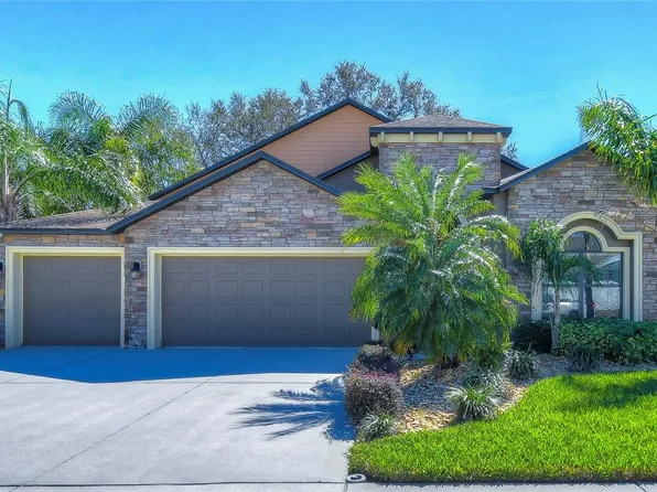 2733 Colewood Ln, Dover, FL 33527