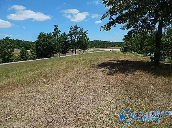 32 County Road 767 #32, Cedar Bluff, AL 35959