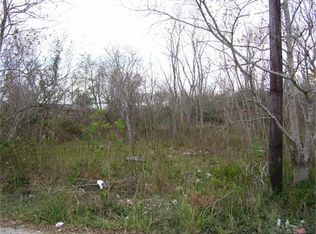 Linden St, Fresno, TX 77545