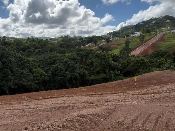 Carr 155 Km 31.2 Int Bo Barros Lote #3, Orocovis, PR 00720