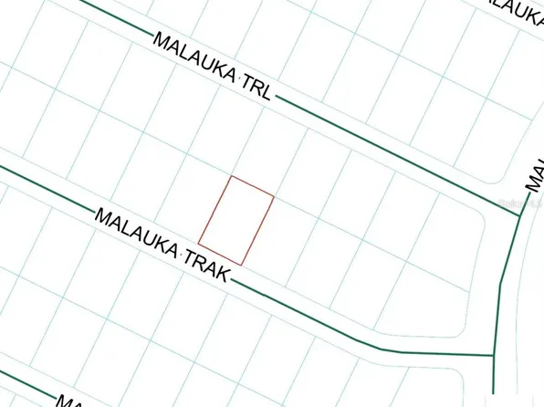 MALAUKA TRAK LOT 5, OCKLAWAHA, FL 32179