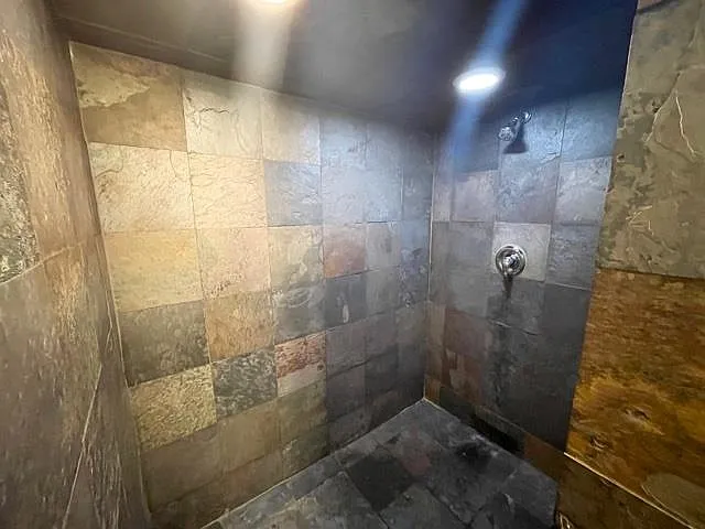 309 Fernway Cv — Photo 17