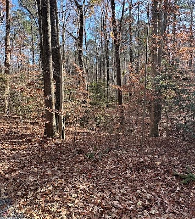2nd image of 14 Holly Point Dr