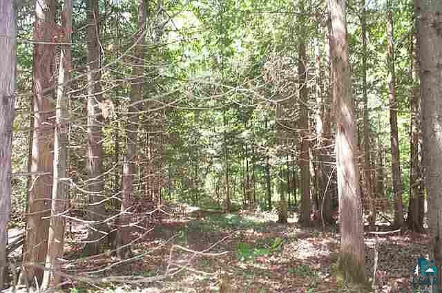 2nd image of 0000 LINDBLAD RD