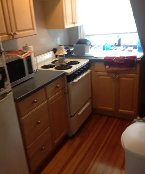 23 Annandale Rd #2 — Photo 6