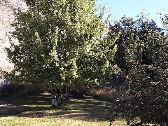 4th image of 1020 Budge Dr