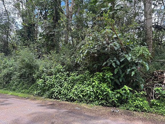 5th image of Plumeria Rd Lot 390