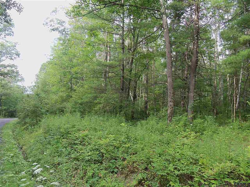 3rd image of 0 LOWER Road