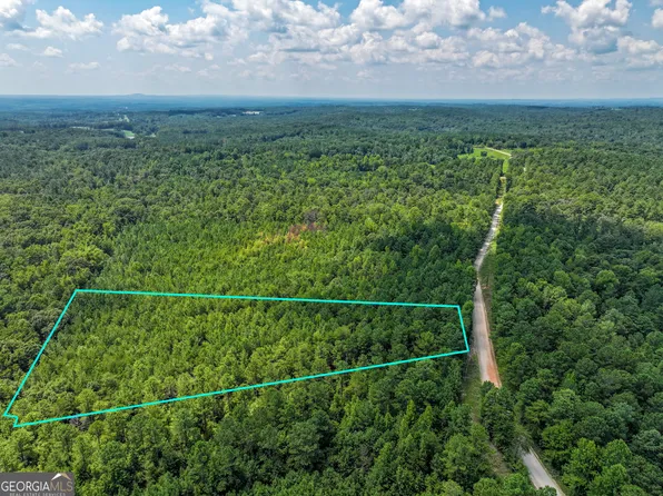314 Teague Rd Tract I, Waco, GA 30182