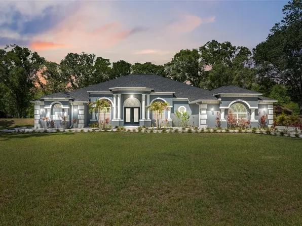 28233 Sonny Dr, Wesley Chapel, FL 33544