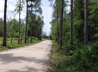 339 Doc Rider Rd, Folkston, GA 31537