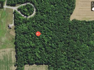 5017 Hidden Ridge Dr, Metamora, MI 48455