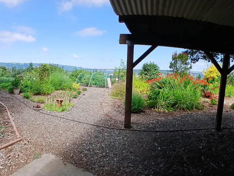 261 Amanda Ct — Photo 12