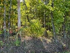 2nd image of 3578 Walkertown Rd
