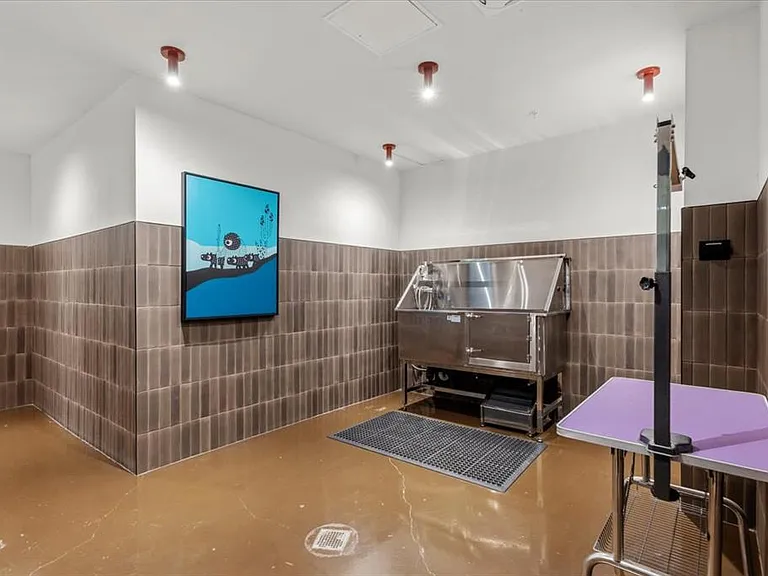 4315 S Congress Ave #310 — Photo 18