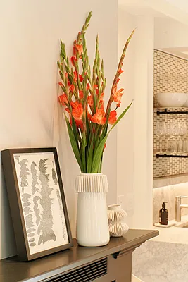 Rented by Living New York | media 26