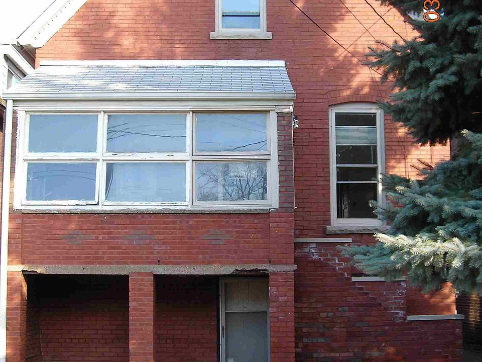 Back view