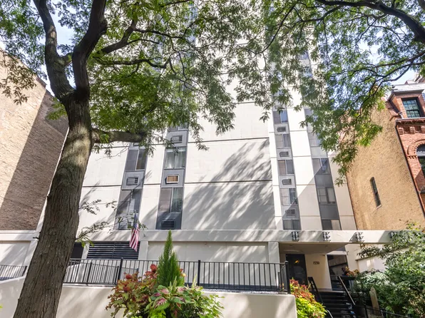 1339 N Dearborn St APT 2B, Chicago, IL 60610