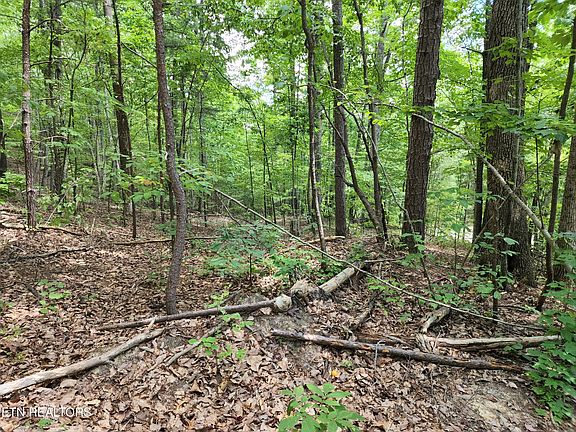5th image of 5131 Short Mountain Way