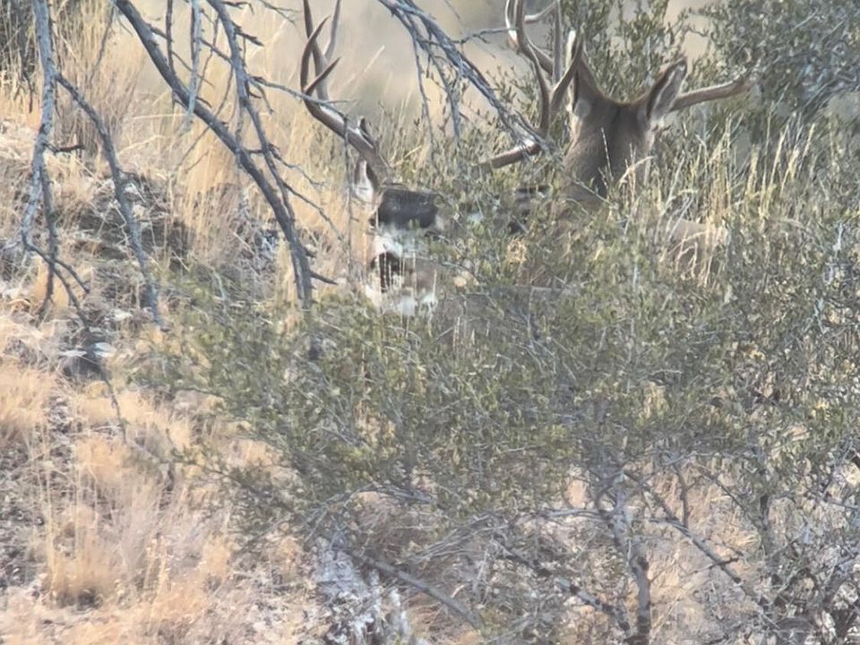 1st image of Cummings Creek Rd