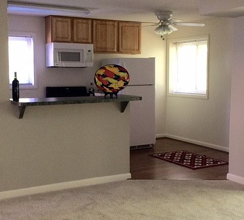 Living room and kitchen