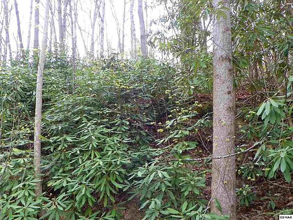 3rd image of 44 Jefferson Rd Lot 44