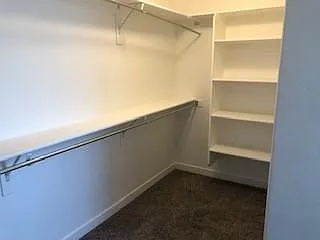 4 bed, 2.5 bath, 2628 sqft, $2,350 — Photo 3