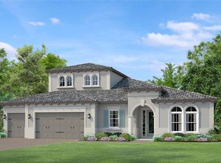6042 Marsh Trail Dr, Odessa, FL 33556
