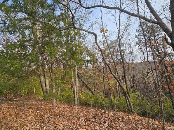 6900 Scenic View Dr, Cedar Hill, MO 63016