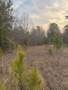 2515 Tindal Rd, Sumter, SC, 29150