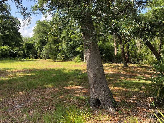 3rd image of 0 Palmetto Ave