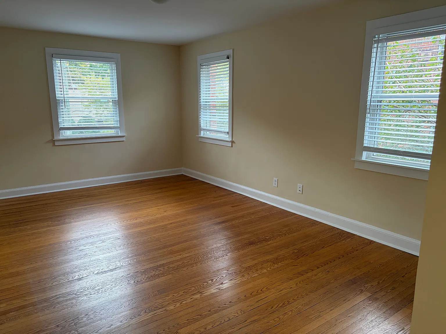 1 bed, 750 sqft, $1,900 — Photo 3