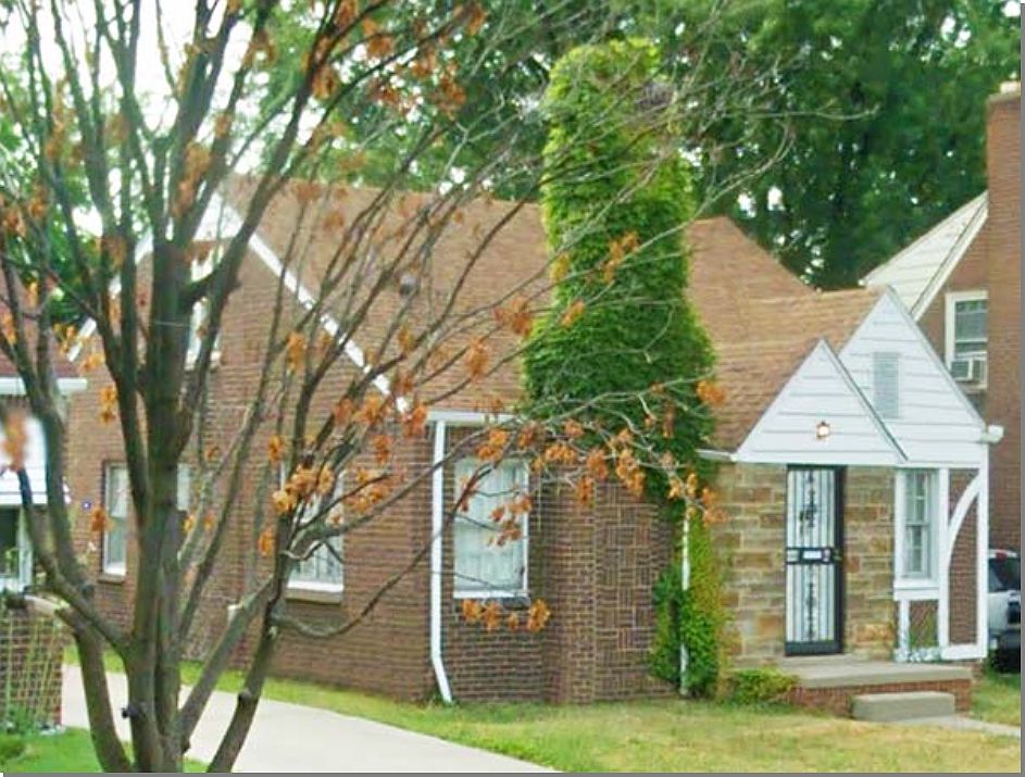 2nd image of 18484 Snowden St