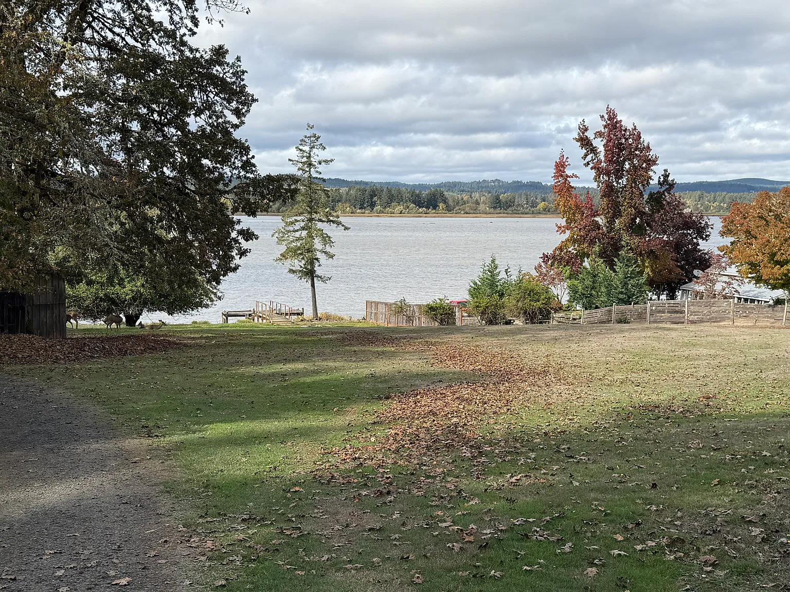 4 bed, 2400 sqft, $2,900 — Photo 3