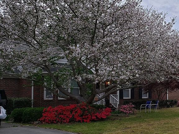 5th image of 3213 Jared Ct