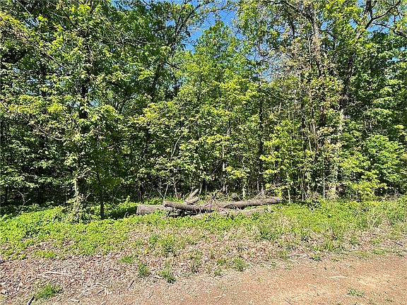 3rd image of 316AC S Pleasant Valley Rd