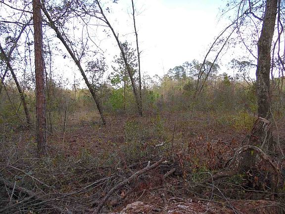 3rd image of 3650 County Road 13 S