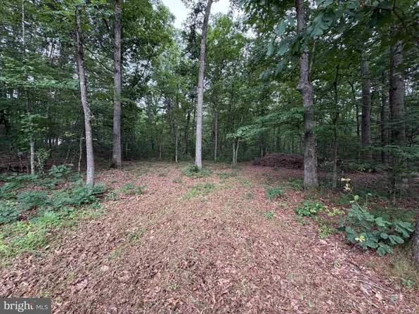 8 Grizzly Rd, Mathias, WV 26812
