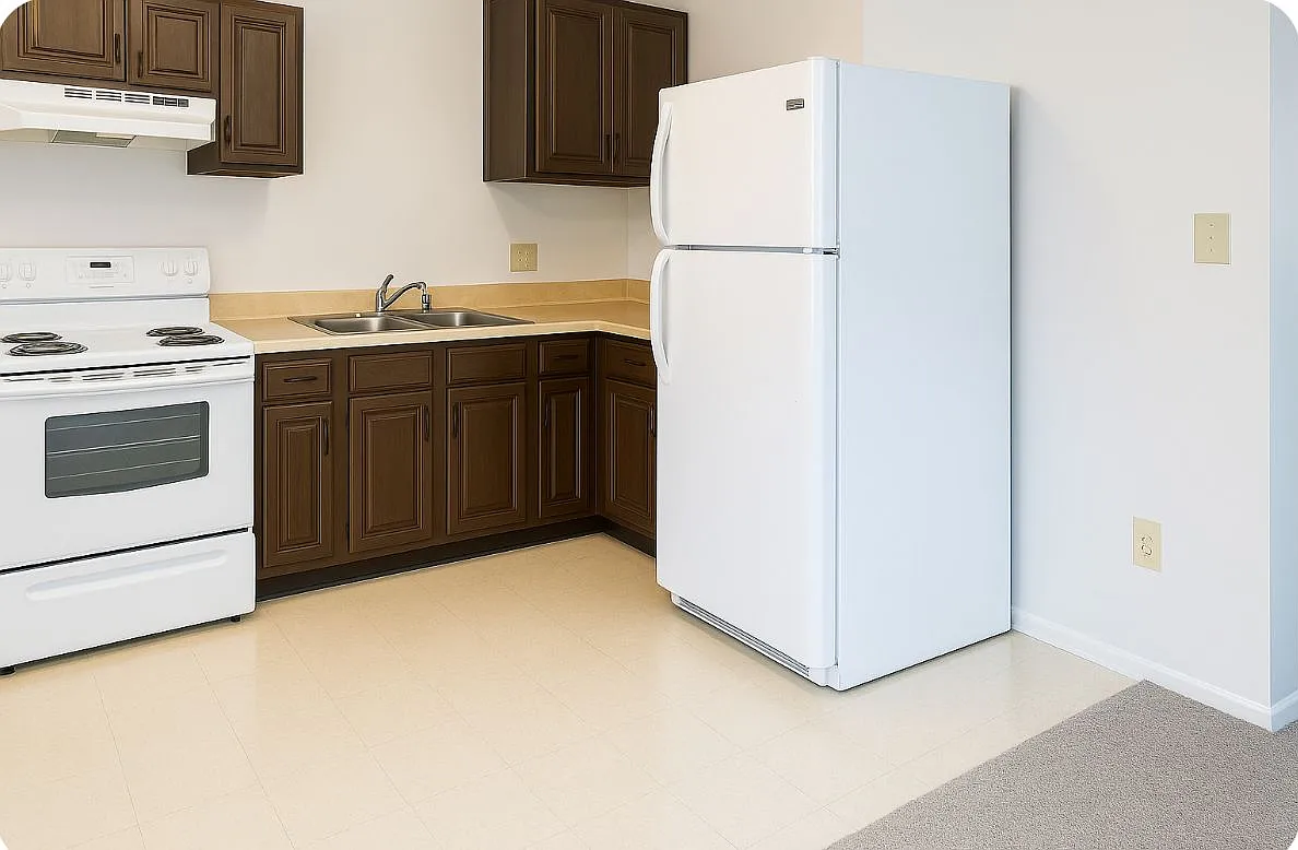 2 bed, 1.0 bath, $950 — Photo 3